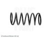 BLUE PRINT ADC488363 Coil Spring